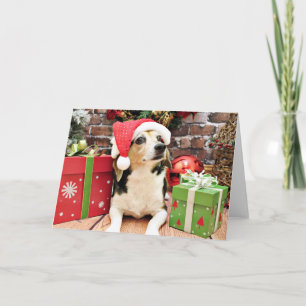 Navidad - beagle - Bailey