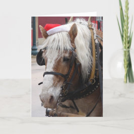 Navidad belga del caballo de proyecto