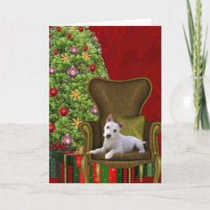 Navidad blanco de Jack Russell