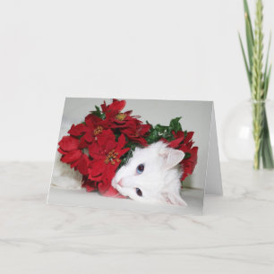 Navidad blanco del gatito