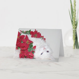 Navidad blanco del gatito
