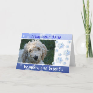 Navidad blanco del perro del Doodle con verso
