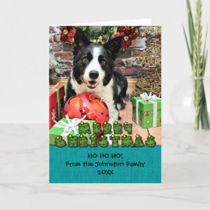 Navidad - border collie - Yaeger