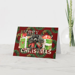 Navidad - caniche de juguete - Annie