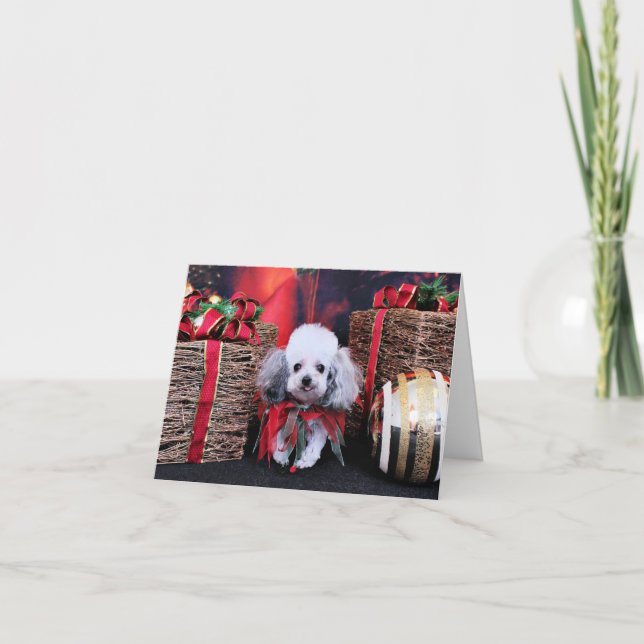 Navidad - caniche - Lilly (Anverso)