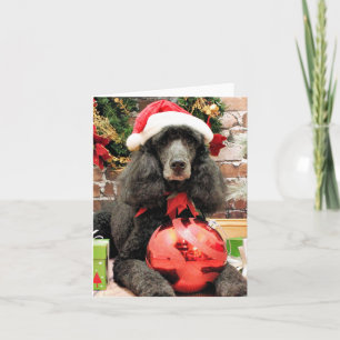 Navidad - caniche - lirio