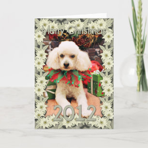 Navidad - caniche - Riley