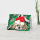 Navidad cansado Shih Tzu<br><div class="desc">Shih poner crema y blanco Tzu se usó de todo el refugio de las tomas de las festividades del navidad de todas las actividades debajo del papel de embalaje del navidad mientras que todavía llevaba su gorra de Papá Noel.  Tarjeta de Navidad de la foto</div>