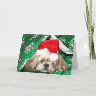 Navidad cansado Shih Tzu
