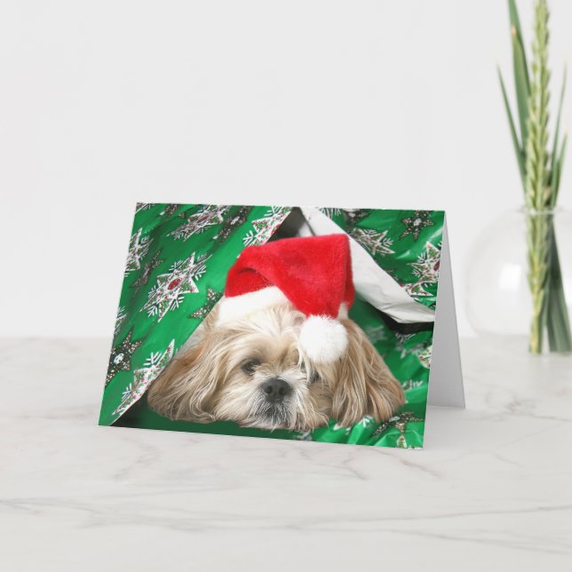 Navidad cansado Shih Tzu (Anverso)