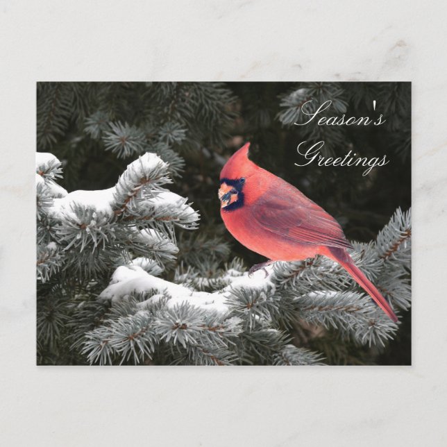 Navidad cardinal (Anverso)