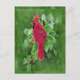 Navidad cardinal de la baya del acebo del pájaro