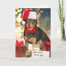 Navidad Chihuahua