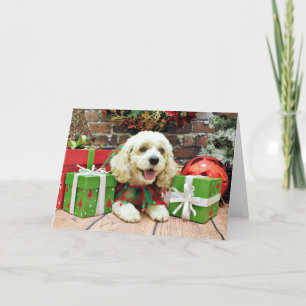 Navidad - Cockapoo - Clancy