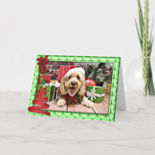 Navidad - Cockapoo - Sadie
