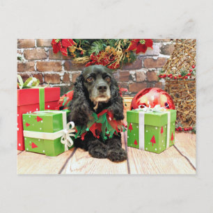 Navidad - cocker spaniel - lirio