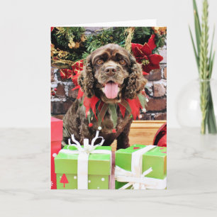 Navidad - cocker spaniel - Murphy