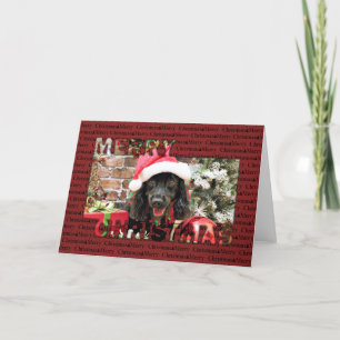 Navidad - cocker spaniel X - pimienta