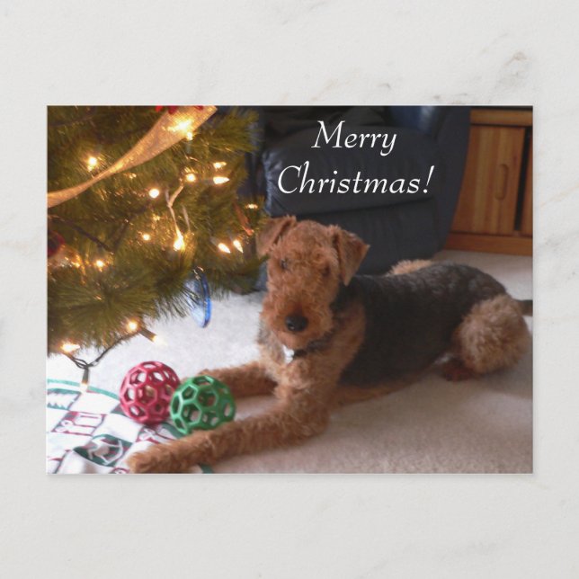 Navidad con la postal de Madeleine (Anverso)