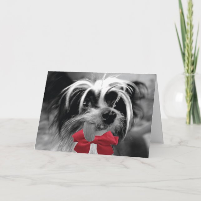 Navidad Crested (YO) (Anverso)