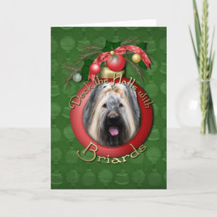 Navidad - cubierta los pasillos - Briard