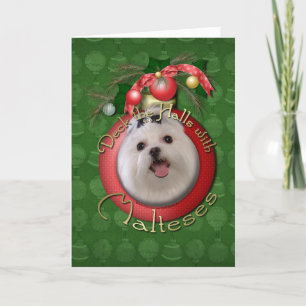 Navidad - cubierta los pasillos - Malteses