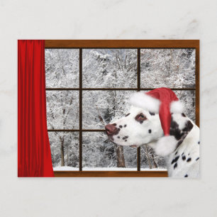 Navidad dálmata