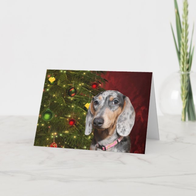 Navidad Dappled del Dachshund (Anverso)