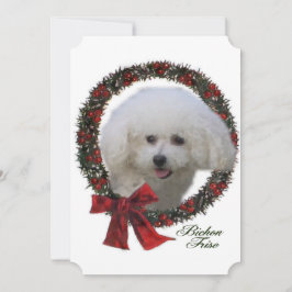 Navidad de Bichon Frise