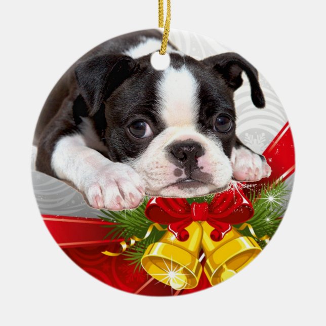 Navidad de Boston Terrier que cuelga el ornamento (Frente)