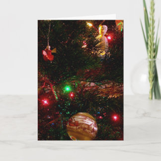 NAVIDAD DE BUDA: A veces un poema…