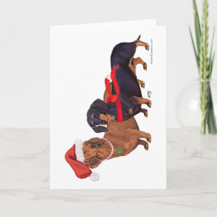 Navidad de dachshunds