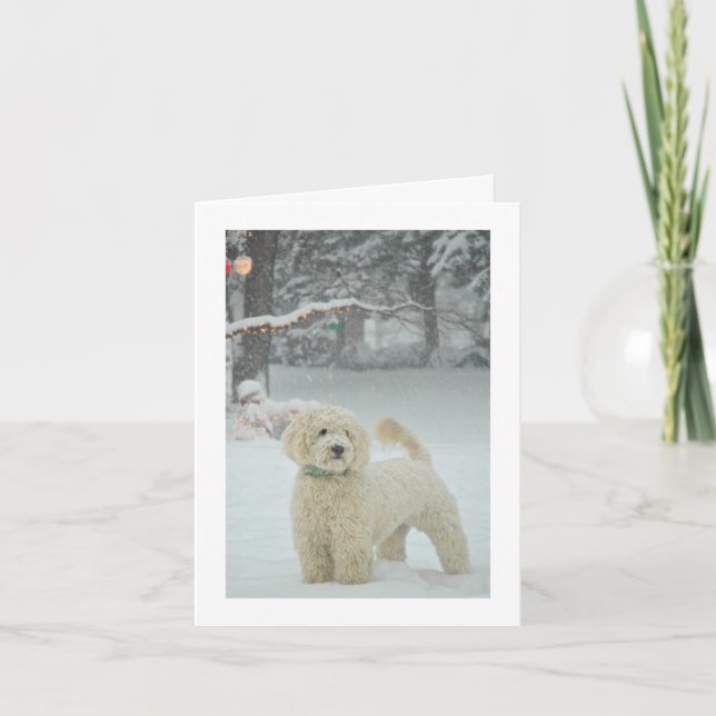 Navidad de Goldendoodle (Anverso)