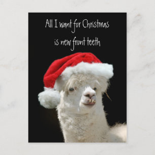 Navidad de la alpaca