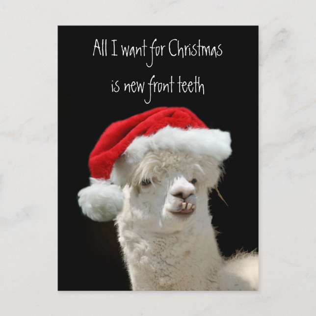 Navidad de la alpaca (Anverso)