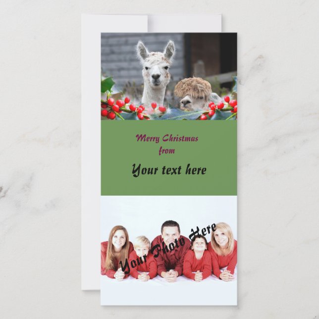 Navidad de la alpaca (Anverso)