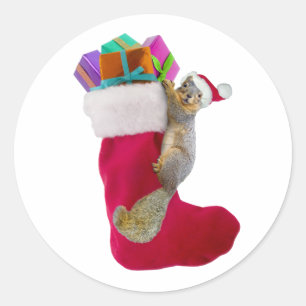 Navidad de la ardilla que almacena al pegatina