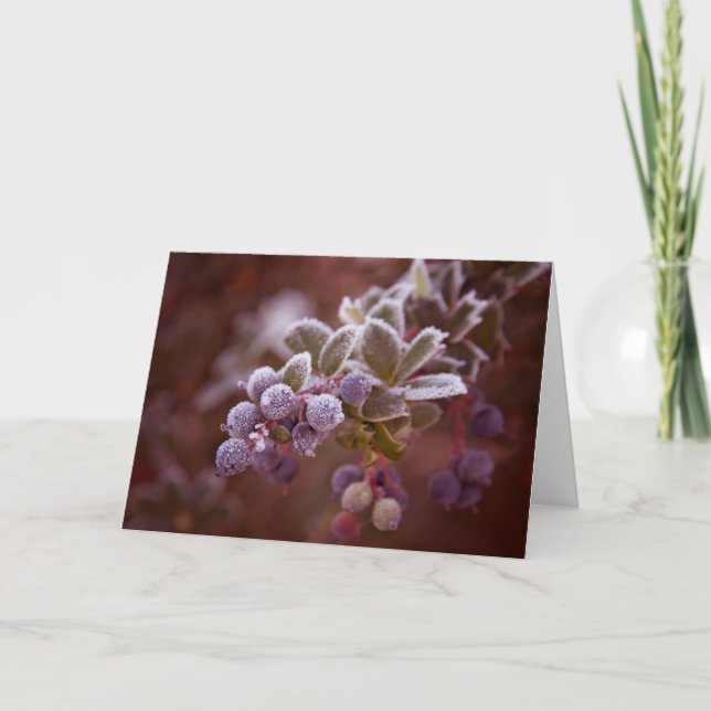 Navidad de la baya (Anverso)