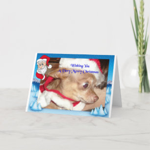 Navidad de la chihuahua