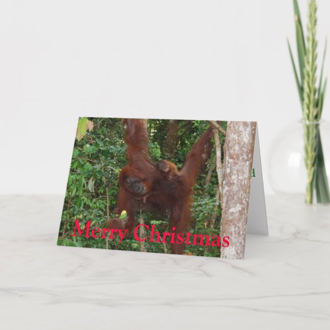 Navidad de la fauna (Anverso)