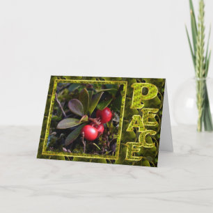 Navidad de la gayuba, Unalaska Alaska