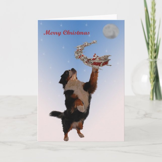 Navidad de la reunión de Bernese (Anverso)