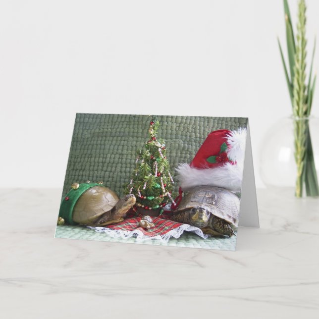 Navidad de la tortuga (Anverso)