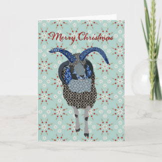 Navidad de las ovejas de Winterland Jacobs que