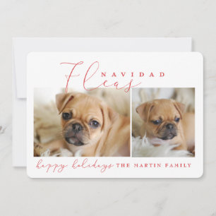 NAVIDAD DE LAS PULGAS