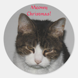 ¡Navidad de Meowy! - Pegatinas del saludo del dí