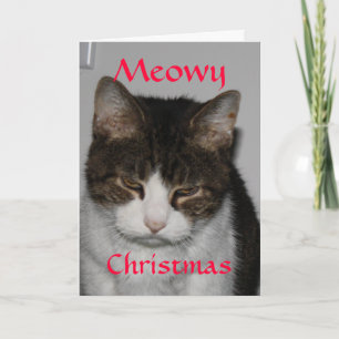 Navidad de Meowy - tarjeta de felicitación del día