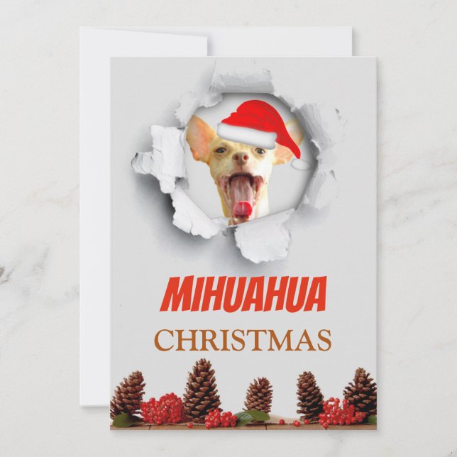 Navidad de Mihuahua, chihuahua con el gorra de (Anverso)