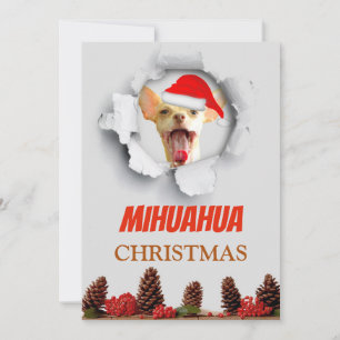 Navidad de Mihuahua, chihuahua con el gorra de