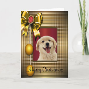 Navidad de oro de Labrador Retiever